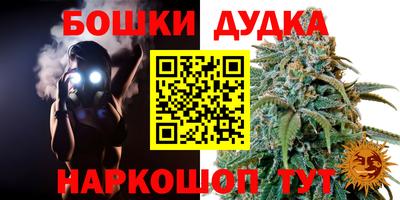 индика Ипатово