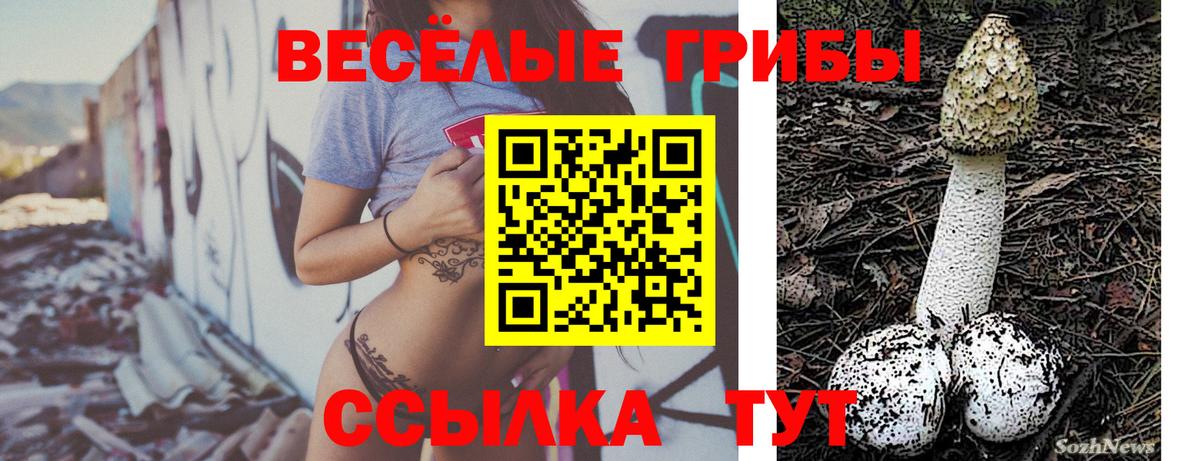 Миасс  Псилоцибиновые грибы прущие грибы  Вход с VPN 