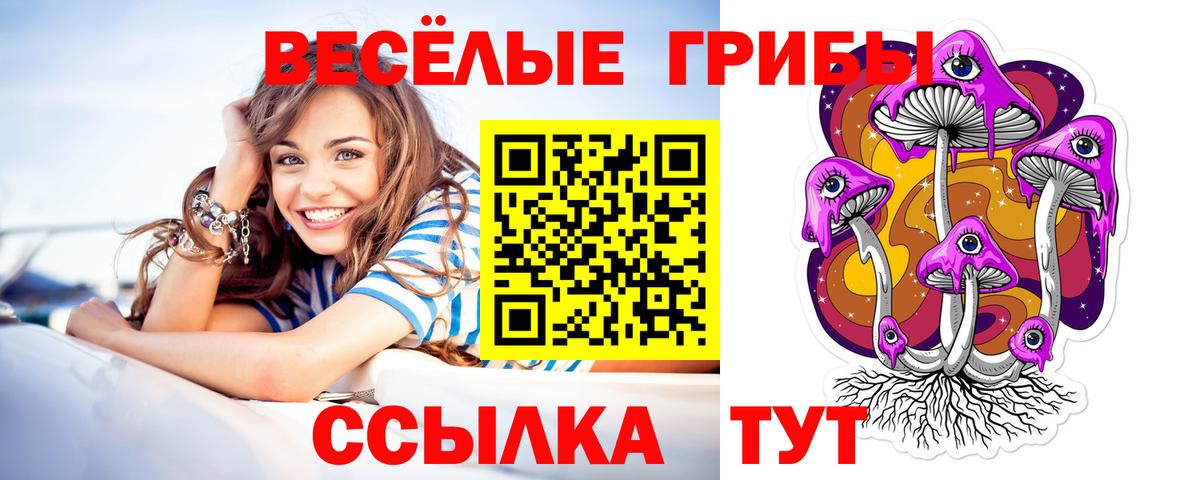 Галлюциногенные грибы Psilocybine cubensis Миасс
